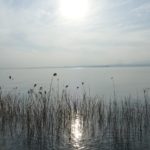 gardasee bild 041 150x150 - Fototour am Gardasee