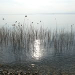 gardasee bild 073 150x150 - Fototour am Gardasee